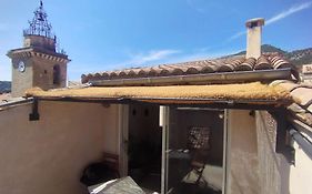 Les Toits Nyonsais